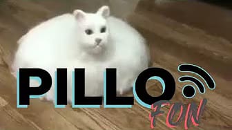 Post 3 by Avocado memes on YouTube (video)