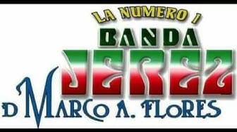 Post 2 by Adiós plaga San Luis Potosí on YouTube (video)