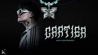 Post 1 by Said Norzagaray on YouTube (video)
