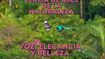 Post 5 by Cosas que me ponen a pensar on YouTube (video)