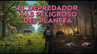 Post 4 by Cosas que me ponen a pensar on YouTube (video)