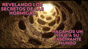 Post 2 by Cosas que me ponen a pensar on YouTube (video)