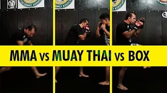 Post 7 by Top Fighter on YouTube (video)
