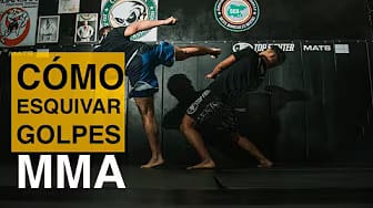 Post 6 by Top Fighter on YouTube (video)
