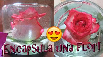 Post 2 by Mariana Itziar Rubio Felipe on YouTube (video)