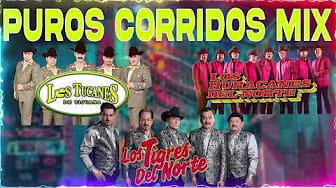 Post 8 by Corridos Mix Edición Especial on YouTube (video)