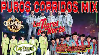 Post 3 by Corridos Mix Edición Especial on YouTube (video)