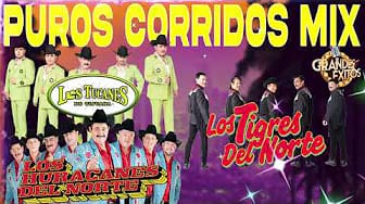 Post 1 by Corridos Mix Edición Especial on YouTube (video)