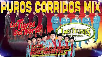Post 6 by Corridos Mix Edición Especial on YouTube (video)
