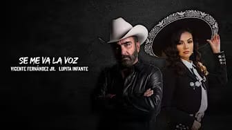 Post 2 by Vicente Fernández Jr. on YouTube (video)