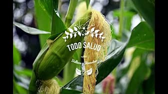 Post 9 by Todo Salud. Belleza y Bienestar on YouTube (video)