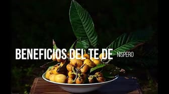 Post 4 by Todo Salud. Belleza y Bienestar on YouTube (video)