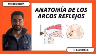 Post 2 by JD LECTURES MD on YouTube (video)