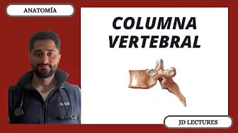 Post 5 by JD LECTURES MD on YouTube (video)