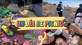 Post 8 by Ricardo Vlogs on YouTube (video)