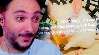 Post 5 by BaityPlus (fan) on YouTube (video)