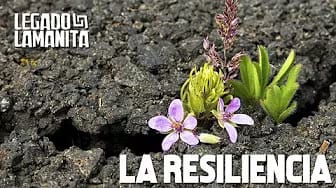 Post 1 by Legado Lamanita on YouTube (video)