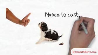 Post 9 by Entrenar mi Perro on YouTube (video)