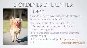 Post 10 by Entrenar mi Perro on YouTube (video)