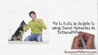 Post 7 by Entrenar mi Perro on YouTube (video)