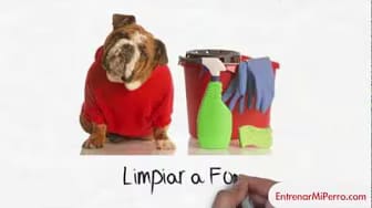 Post 2 by Entrenar mi Perro on YouTube (video)