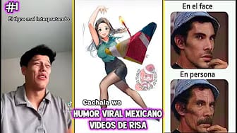 Post 4 by Gatita Ponch on YouTube (video)