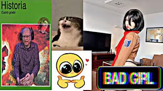 Post 2 by Gatita Ponch on YouTube (video)
