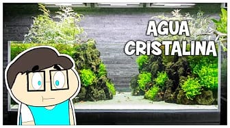 Post 10 by AQUABLUE on YouTube (video)