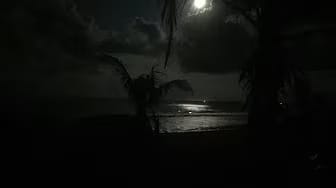 Post 8 by NUESTRA VIDA EN LA PLAYA by Fernanda Berlei on YouTube (video)