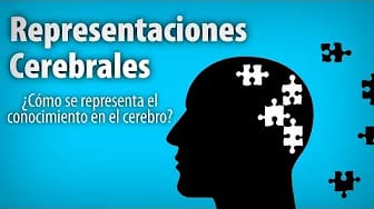 Post 4 by Neurofilia on YouTube (video)