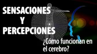 Post 7 by Neurofilia on YouTube (video)