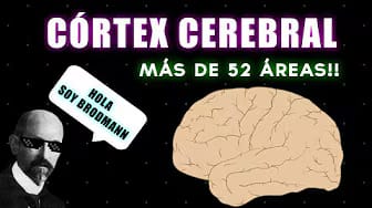 Post 1 by Neurofilia on YouTube (video)