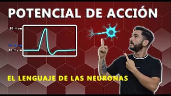 Post 2 by Neurofilia on YouTube (video)
