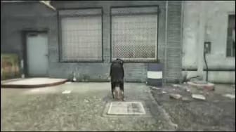 Post 3 by BebiKnot ll on YouTube (video)