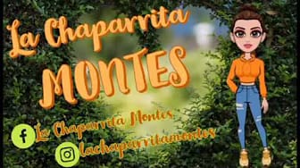 Post 3 by La Chaparrita Montes on YouTube (video)