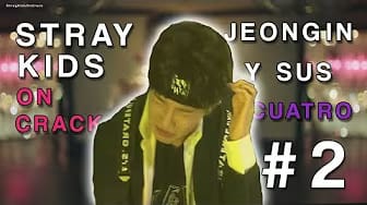Post 9 by StrayKidsOnCrack on YouTube (video)