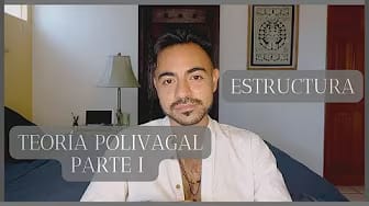 Post 6 by El Nerd del Trauma on YouTube (video)