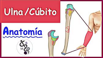 Post 3 by Medicoblastos on YouTube (video)