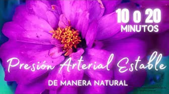 Post 1 by ACTITUD ZEN on YouTube (video)