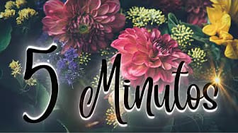 Post 9 by ACTITUD ZEN on YouTube (video)