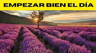 Post 4 by ACTITUD ZEN on YouTube (video)