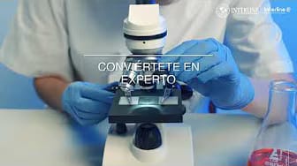 Post 6 by Interline Instituto on YouTube (video)