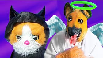 Post 8 by One More Dog on YouTube (video)