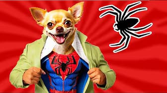 Post 2 by One More Dog on YouTube (video)