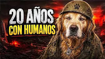 Post 4 by One More Dog on YouTube (video)