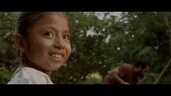 Post 4 by Cine Janal on YouTube (video)