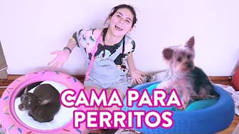 Post 1 by Lupe la constructora on YouTube (video)