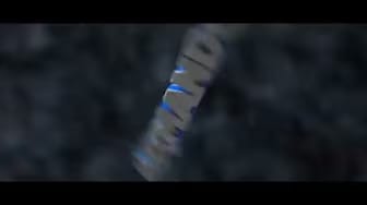 Post 3 by Armando Conde on YouTube (video)