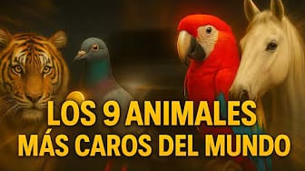 Post 5 by Naturaleza Salvaje on YouTube (video)
