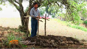 Post 7 by PACMAR FILMS TV on YouTube (video)